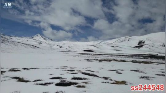 纪实直播33天理塘到拉萨，海子山 2020-04-12 10点场