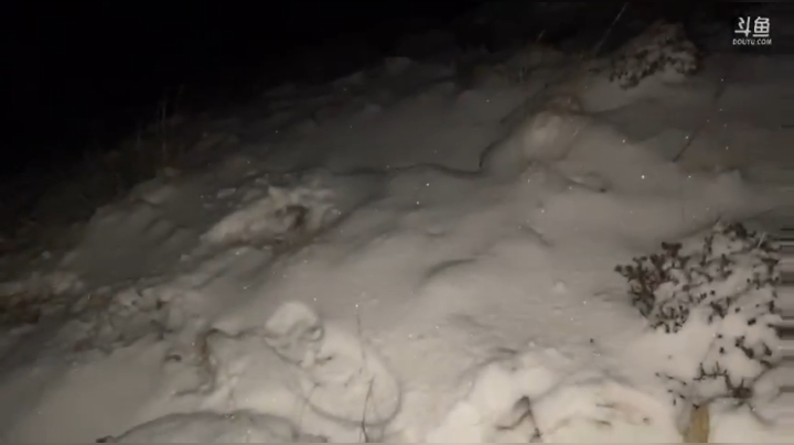 纪实直播33天理塘到拉萨，海子山 2020-04-12 20点场