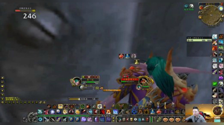 魔兽世界怀旧服：小伙湿地刷红龙出货了，这是离提布最近的一次！