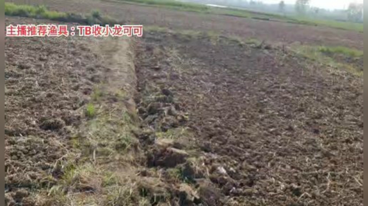 十一郎君01发布了一个斗鱼视频2020-04-13