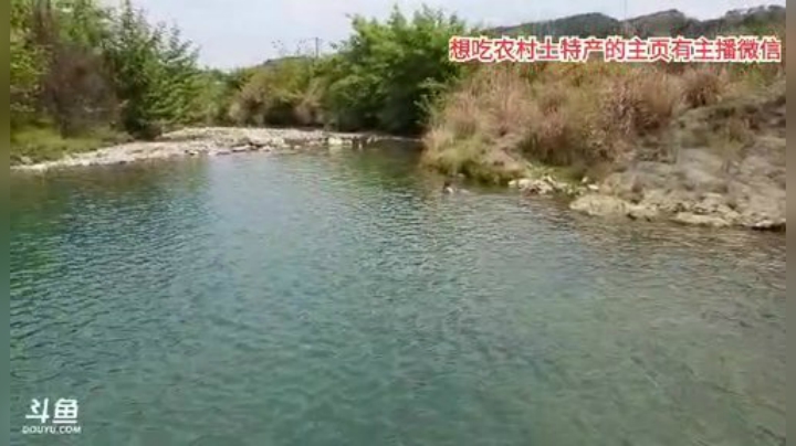 开心打野快乐美食 2020-04-13 13点场