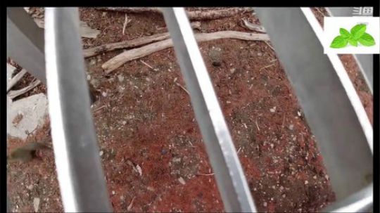 纪实直播33天理塘到拉萨，海子山 2020-04-13 12点场