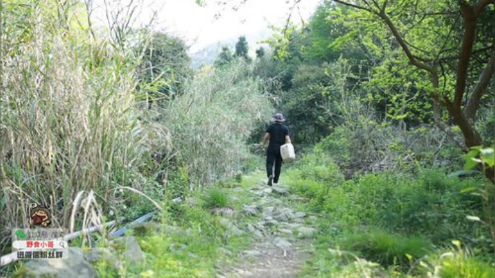 我在斗鱼看野食小哥直播美食