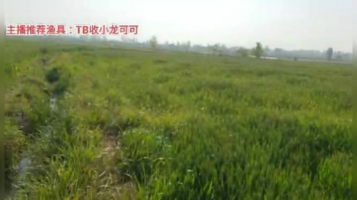 十一郎君01发布了一个斗鱼视频2020-04-13