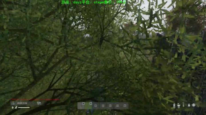 dayz 口罩是个好东西 2020-04-10 22点场