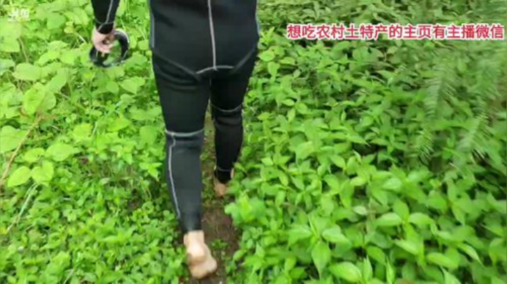 开心打野快乐美食 2020-04-13 14点场