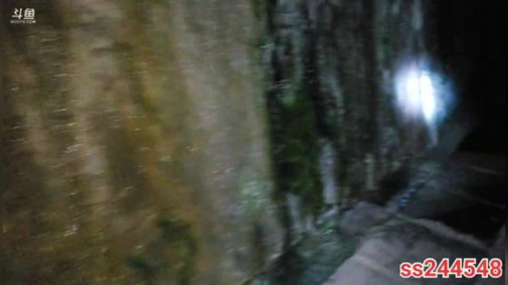 纪实直播35天理塘到拉萨，通宵徒步到6点 2020-04-14 04点场