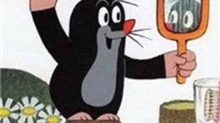 ۹(･༥･´)و ̑̑