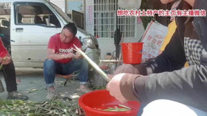 今天上山掰竹笋。 2020-04-14 12点场