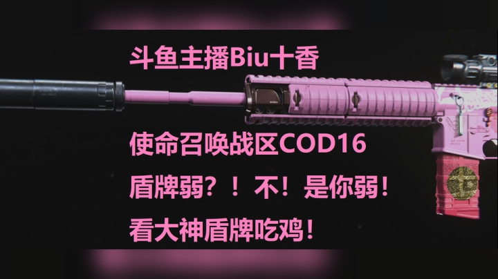 使命召唤战区 盾牌弱？！不！是你弱！看大神盾牌吃鸡！