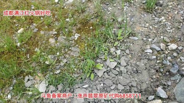 种菜种菜(≧ω≦)/ 2020-04-12 13点场