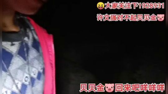 我在斗鱼看许文强户外直播户外