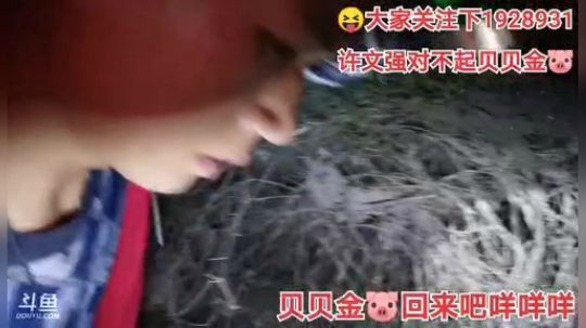 我在斗鱼看许文强户外直播户外