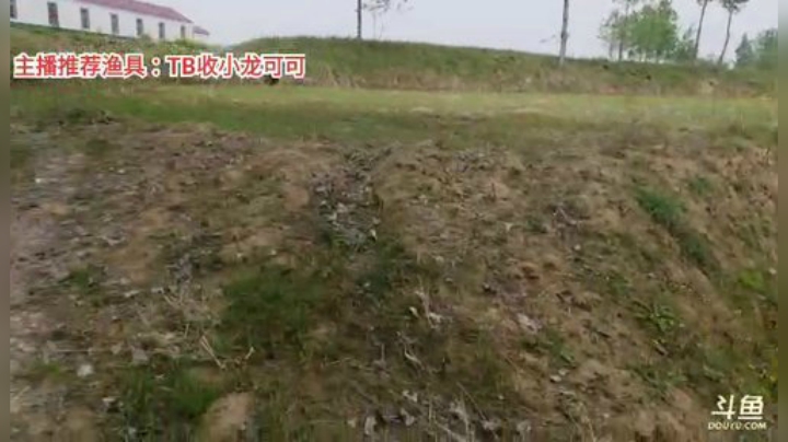 十一郎君01发布了一个斗鱼视频2020-04-16