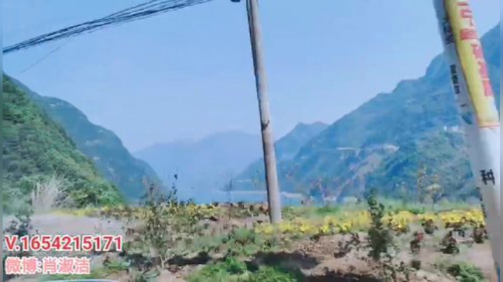 藤一的小幸运发布了一个斗鱼视频2020-04-16