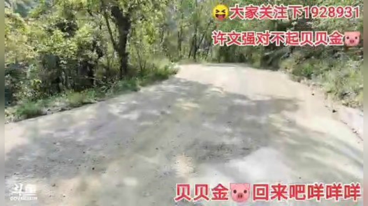 我在斗鱼看许文强户外直播户外