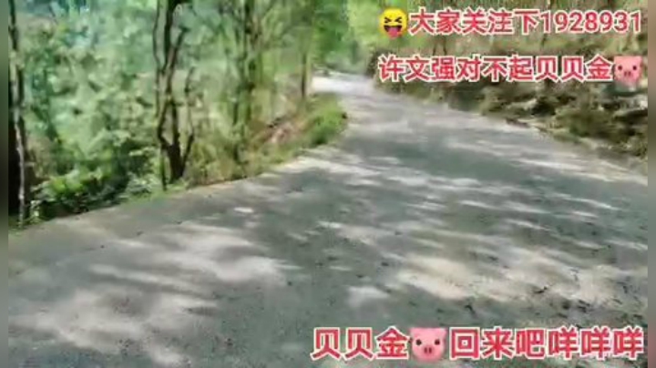 我在斗鱼看许文强户外直播户外