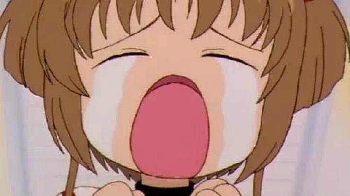 第三天的快乐都在这里了