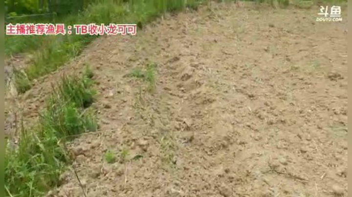 十一郎君01发布了一个斗鱼视频2020-04-16