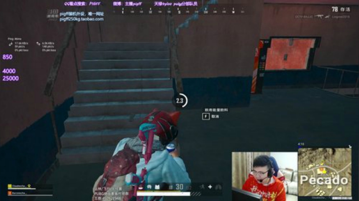 我在斗鱼看pigff直播绝地求生