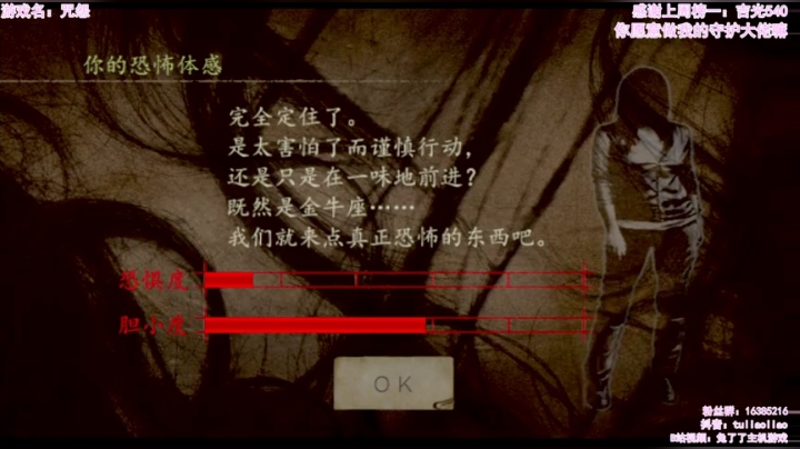 【咒怨】：来自伽椰子的刺激 2020-04-14 14点场