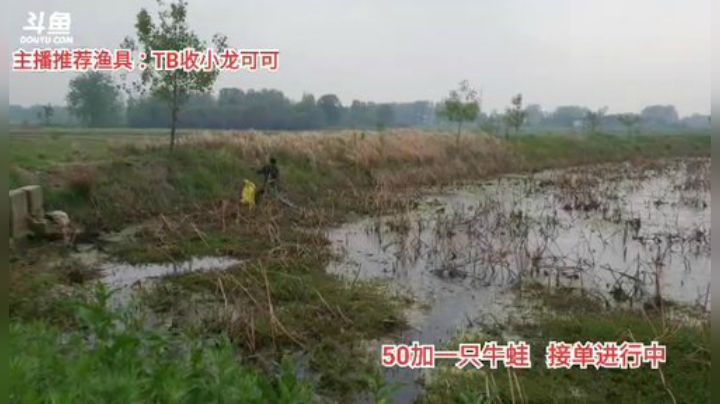 十一郎君01发布了一个斗鱼视频2020-04-17