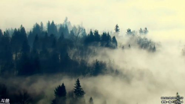 户外遛狗王飞哥发布了一个斗鱼视频2020-04-17