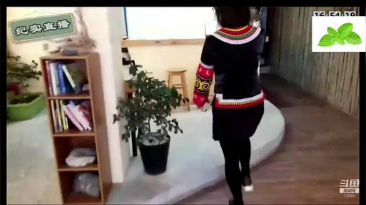 纪实直播37天理塘到拉萨，巴塘 2020-04-17 02点场