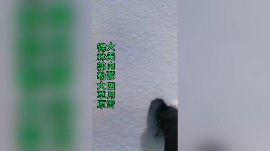 在内蒙不仅仅是喝酒那么简单