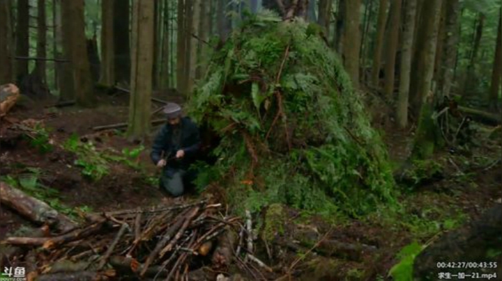 静思世语发布了一个斗鱼视频2020-04-18