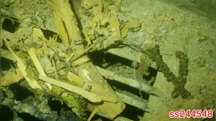 纪实直播38天理塘到拉萨，巴塘 2020-04-18 20点场