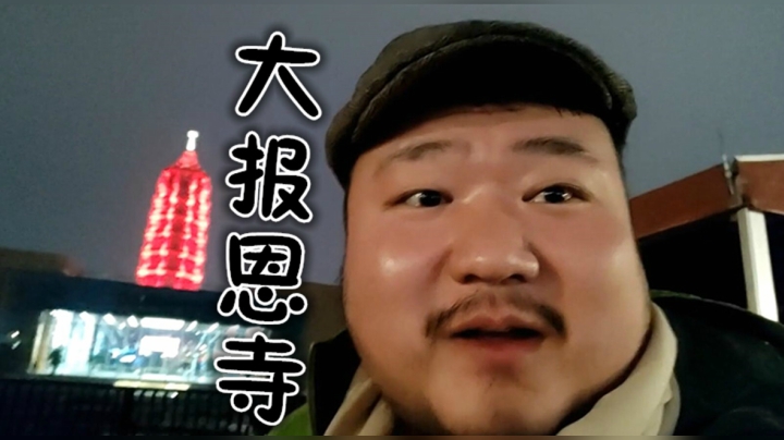 南京vlog 风铃摇曳 大报恩寺