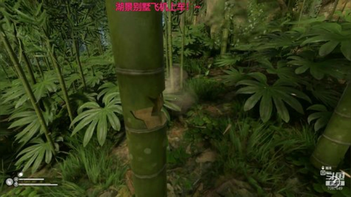 如何和小姐姐一起丛林生存！~ 2020-04-15 19点场