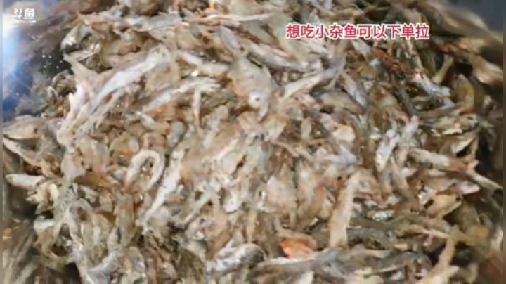 油炸小杂鱼 2020-04-20 15点场