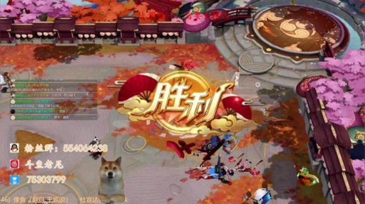 老尼：今天是白藏主大属食堂 2020-04-18 17点场
