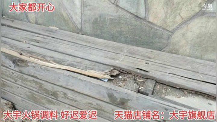 天津寻宝第三季，徒步夺飞机 2020-04-19 11点场