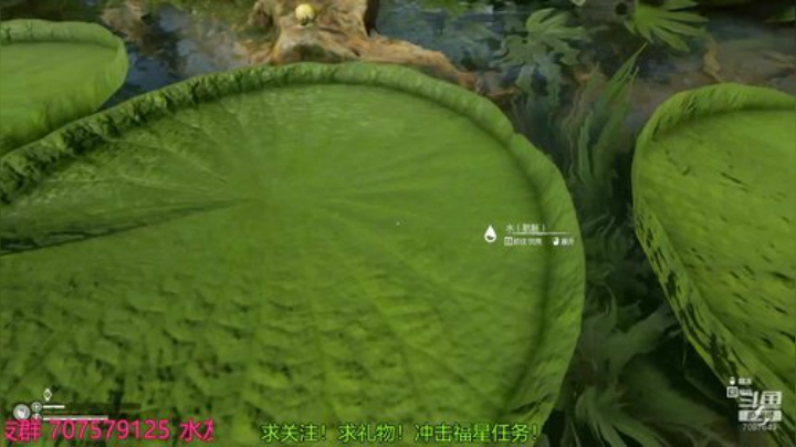 如何和小姐姐一起丛林生存！~ 2020-04-14 20点场