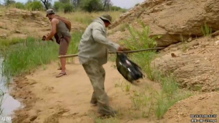 户外遛狗王飞哥发布了一个斗鱼视频2020-04-20