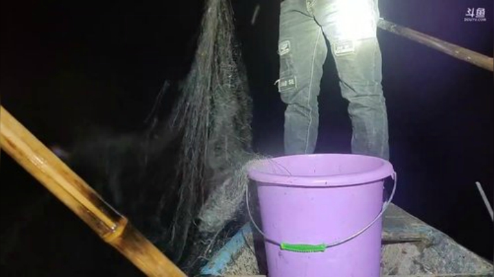 水库弄鳜鱼。 2020-04-21 19点场