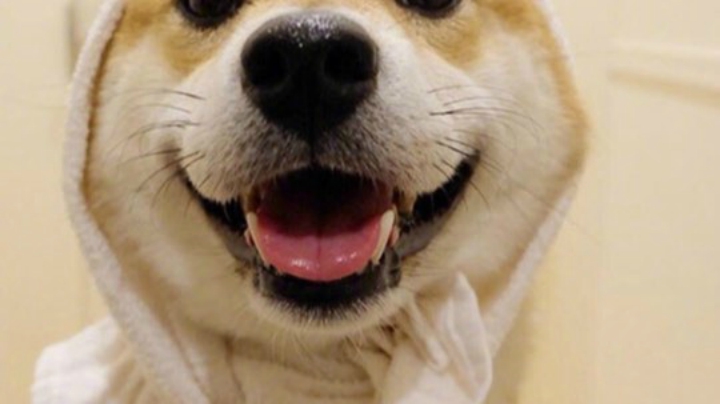 录播