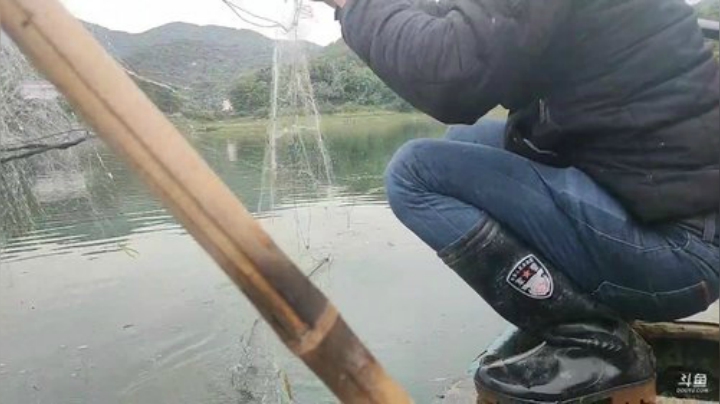 收白条网放鳜鱼钓 2020-04-22 10点场