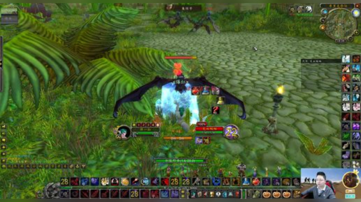 魔兽世界怀旧服：小伙编祖格宠物捕捉全攻略，神宠蝙蝠在向你招手