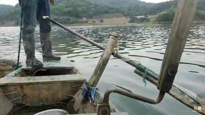 收白条网放鳜鱼钓 2020-04-22 16点场