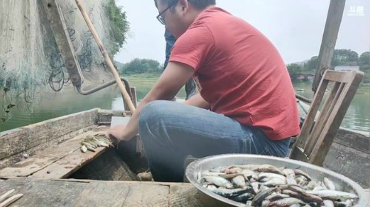 收白条网放鳜鱼钓 2020-04-22 12点场