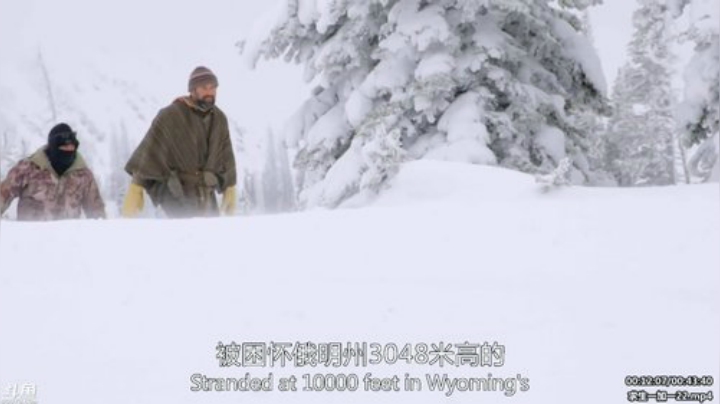 户外遛狗王飞哥发布了一个斗鱼视频2020-04-23