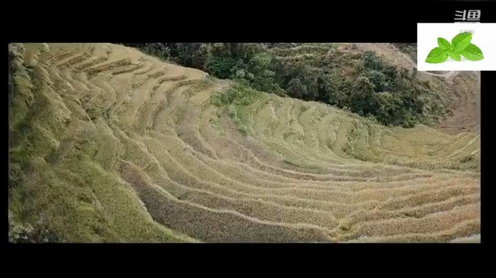 纪实直播38天理塘到拉萨，芒康等叶子 2020-04-23 22点场