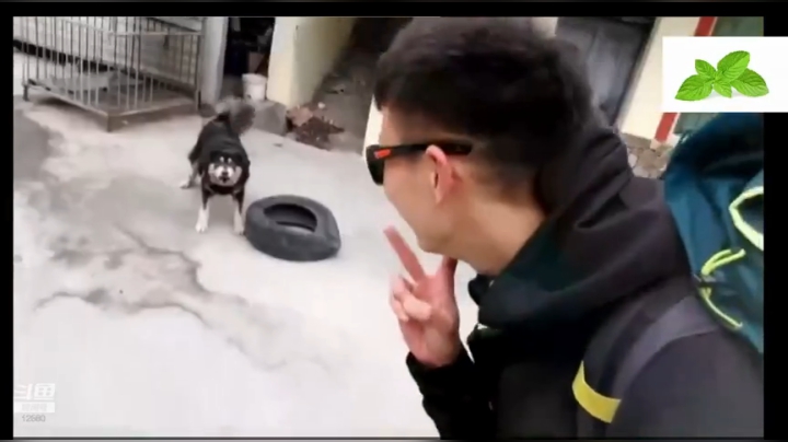 纪实直播38天理塘到拉萨，芒康等叶子 2020-04-24 00点场