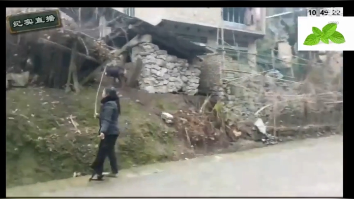 纪实直播38天理塘到拉萨，芒康等叶子 2020-04-24 14点场