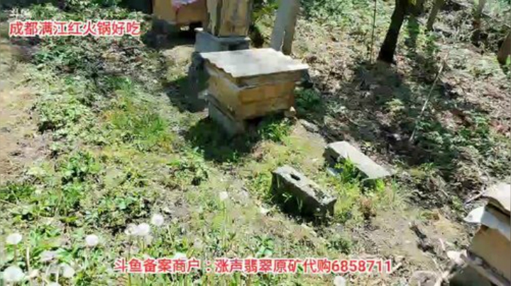 带水友一起上山做饭(≧ω≦)/ 2020-04-15 13点场