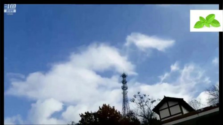 纪实直播38天理塘到拉萨，芒康等叶子 2020-04-24 08点场